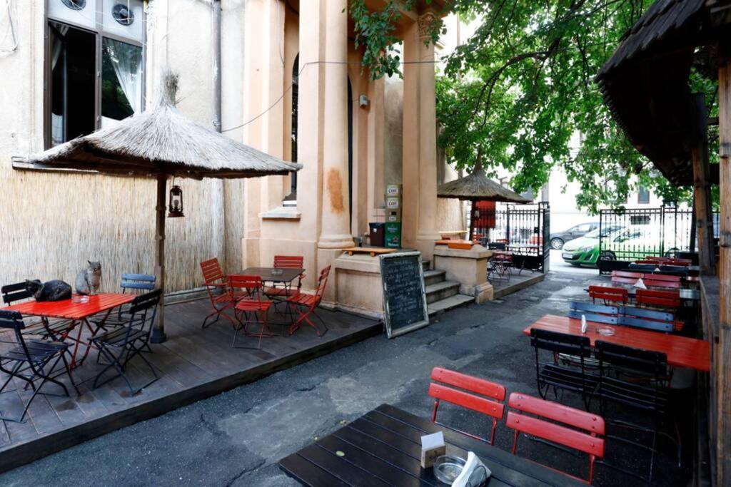 La Copac Cozy Stay Bukurešť Exteriér fotografie